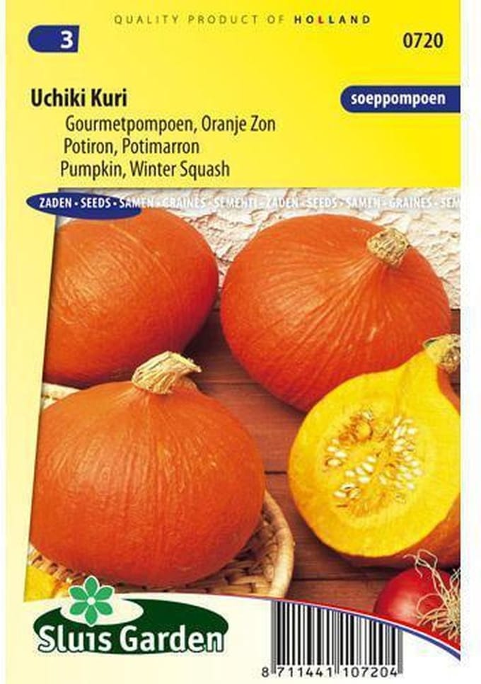 Sluis Garden Pompoen Uchiki Kuri BIO (gourmetpompoen)