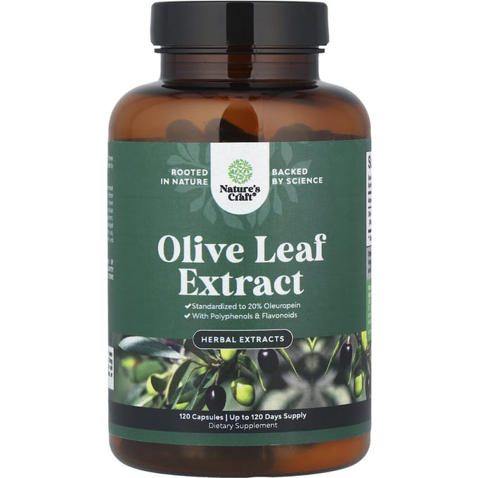 Nature's Craft, Olijfbladextract, 750 mg, 120 capsules