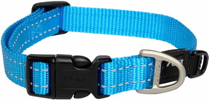Rogz Utility Halsband Turquoise - Hondenhalsband - Xl 43-70x2.5 Cm