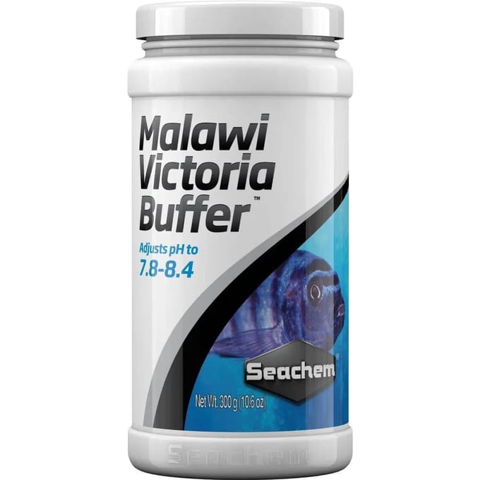 Tampon Seachem Malawi/Victor
