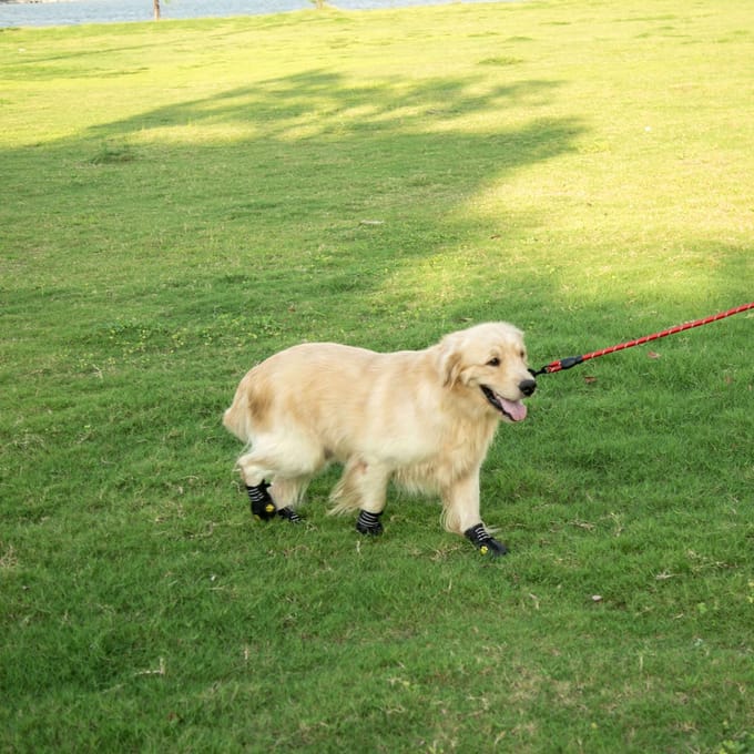 Hondenschoenen Laarzen Waterdichte schoenen voor honden met reflecterend robuust size 6 black