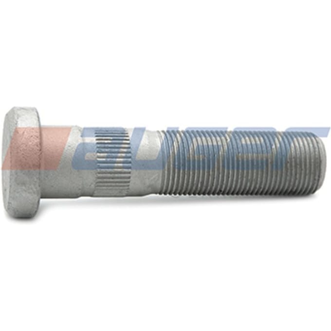 Wielbout AUGER 84882