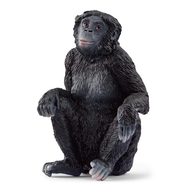 schleich WILD LIFE - Bonobovrouwtje - 14875