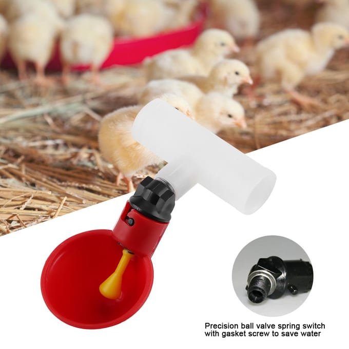 Distributeur automatique d'eau pour volaille, 5 pièces, 20 mm white