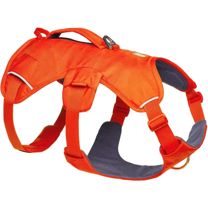 Hondentuig Ruffwear Web Master™