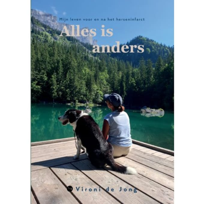 Alles Is Anders - Vironi de Jong