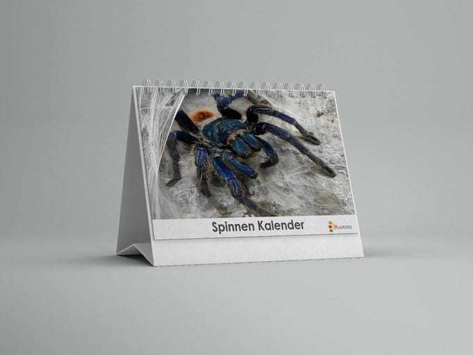 Spinnen Bureau-verjaardagskalender | Spinnen bureaukalender | Spinnen kalender 20x12.5 cm