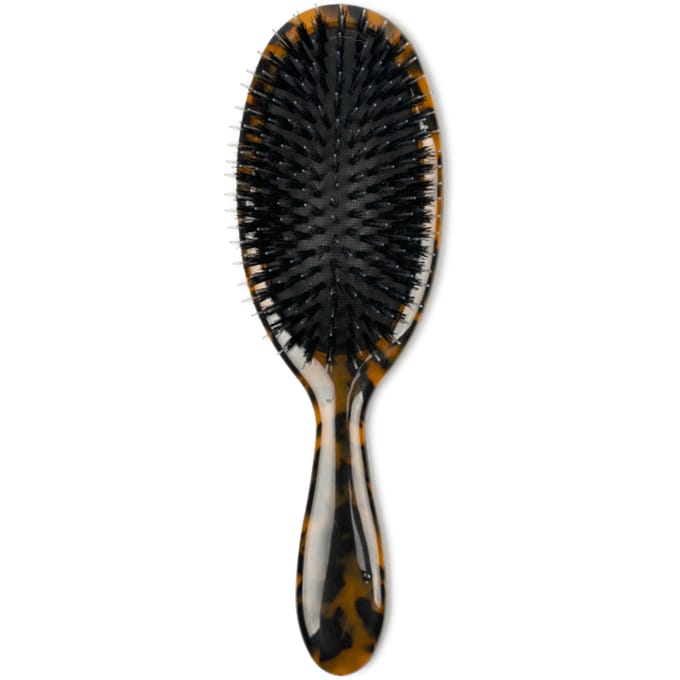 Sui Ava Brush Tortoise 1 st