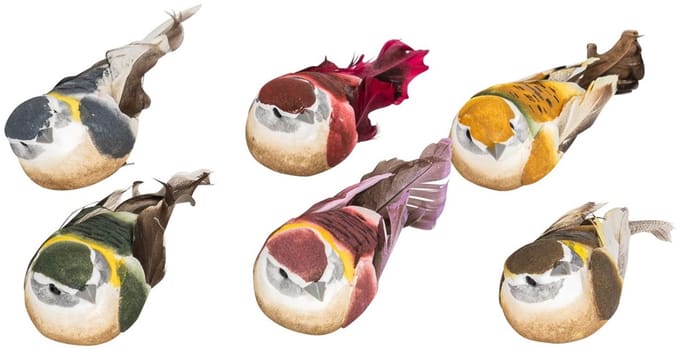 Vogeltjes met clip 6ass. 11cm
