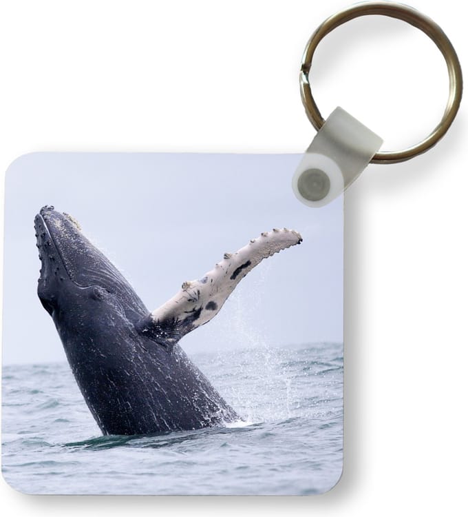 Sleutelhanger - Uitdeelcadeautjes - Bultrug walvis in de oceaan bij Costa Rica - Plastic