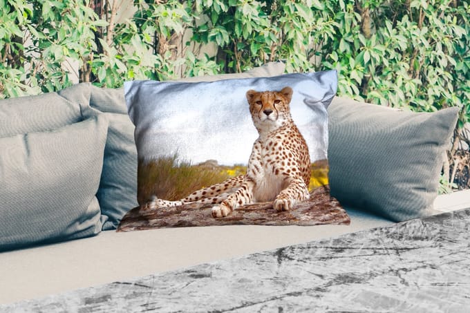 Buitenkussens - Luipaard - Dieren - Natuur - 60x40 cm - Weerbestendig