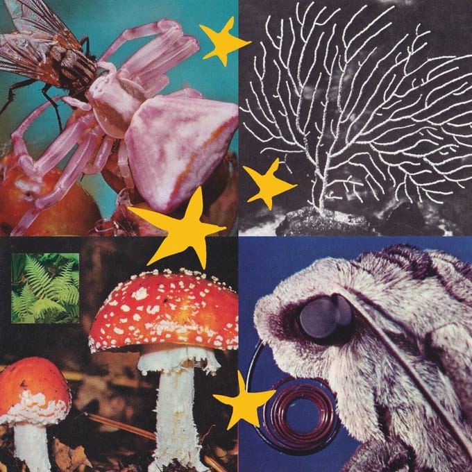 Various Artists - All Things Considered Vol.2 (LP)