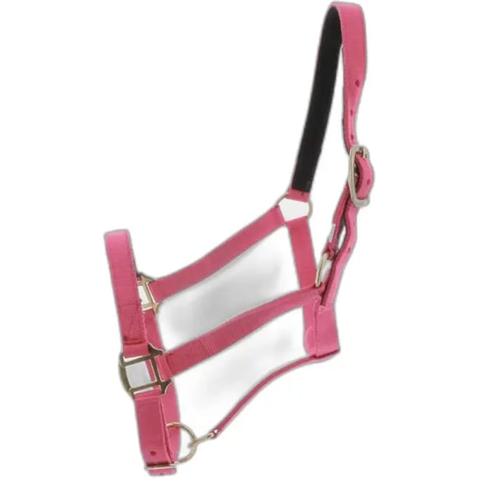 Halster voor paarden Norton Doublé cuir