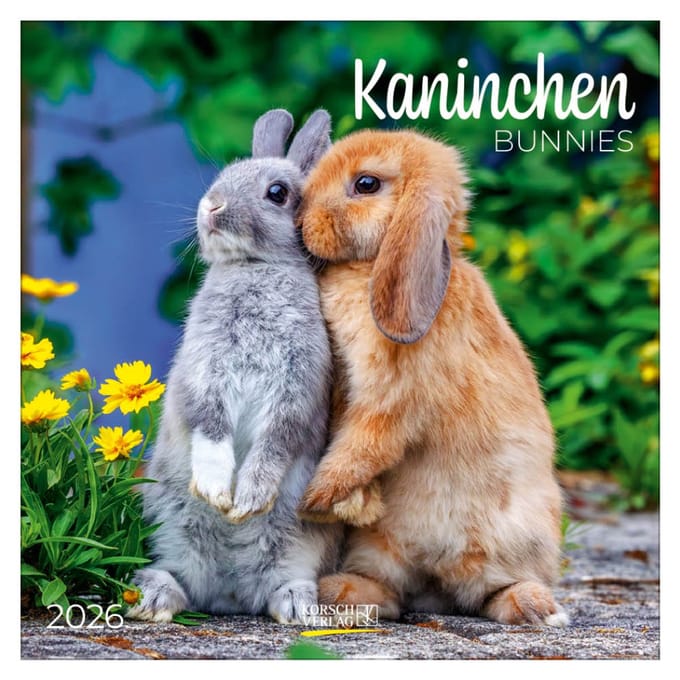 Konijnen - 2026