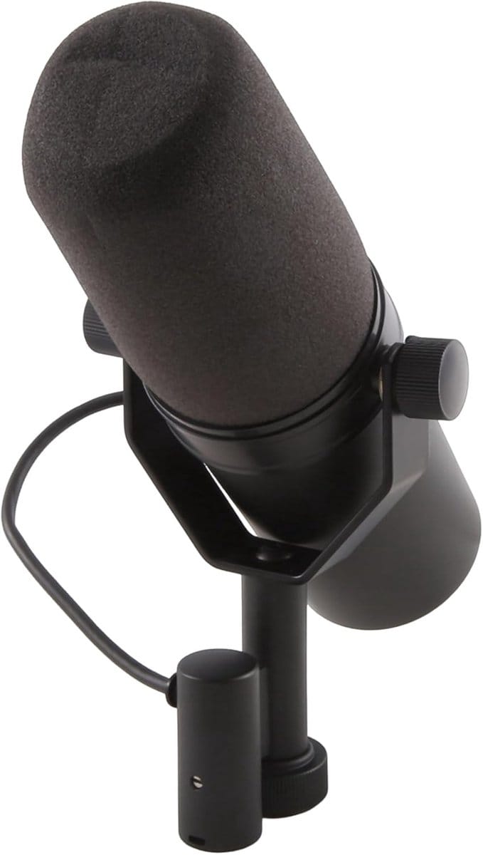 Dynamische Microfoon - Opname Microfoon - Podcasting Studio - Nierkarakteristiek - 34x18x12cm
