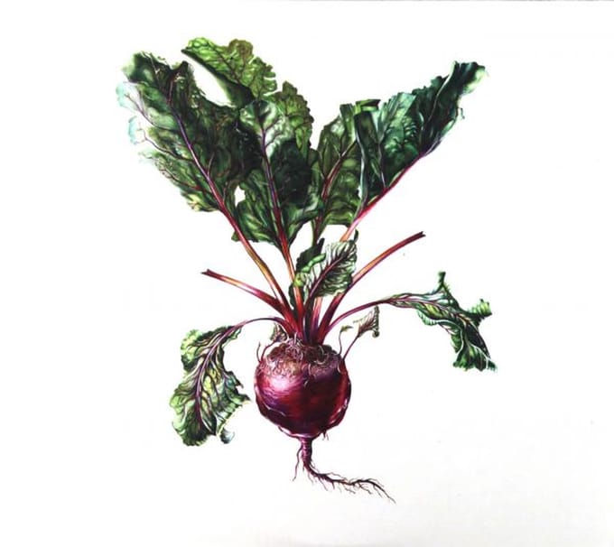 Czesław Śpiewa: Czesław Śpiewa & Arte dei Suonatori [CD]