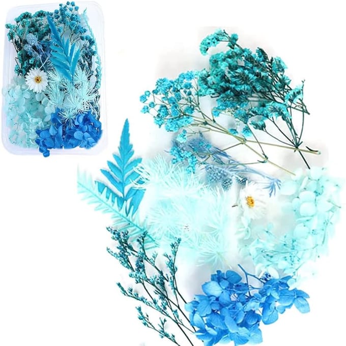 Solidchoice - Gemengde Natuurlijke Gedroogde Bloemen voor Creatieve Klussen