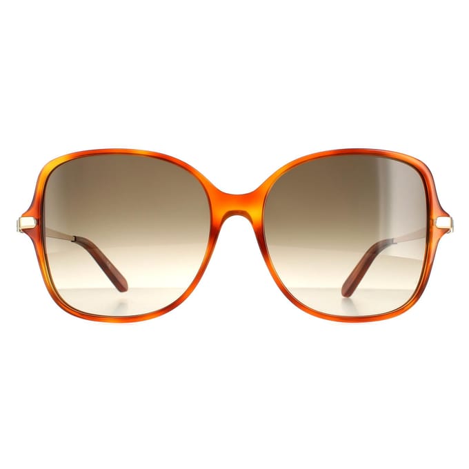 Salvatore Ferragamo zonnebril SF990SR 214 Tortoise grijze gradiënt