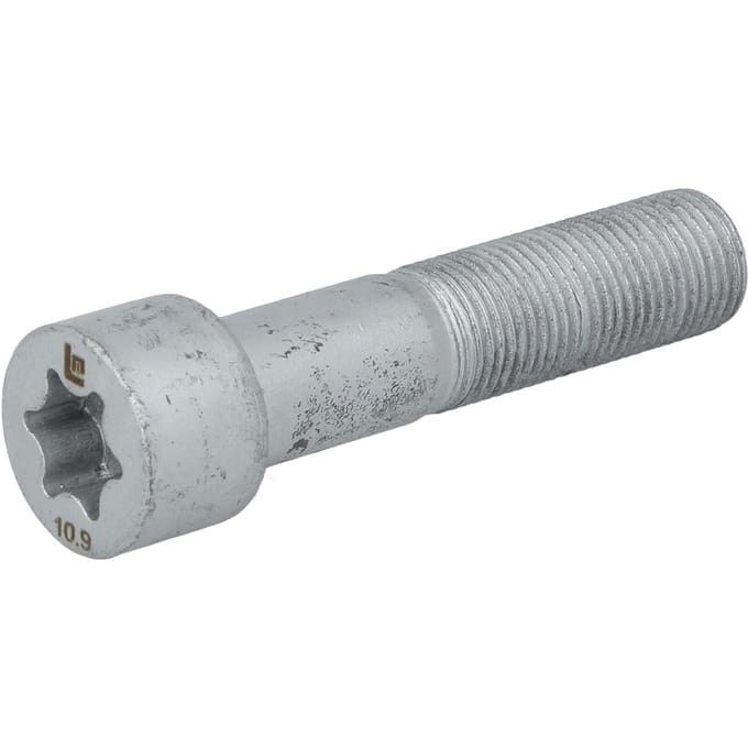 Schroef LEMA 9016042.1
