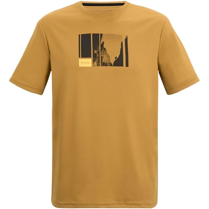 Regatta Heren Fingal Bergbeklimming T-Shirt (Hout Bruin)