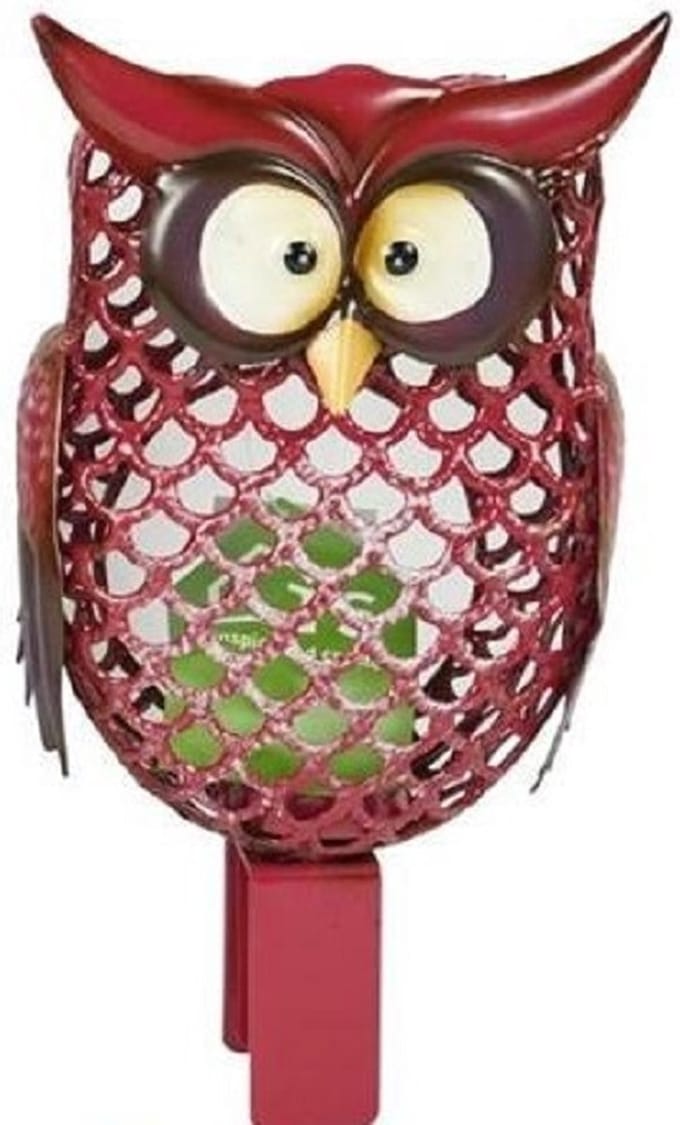 Tuin uil-rood--tuindecoratie-Animal King