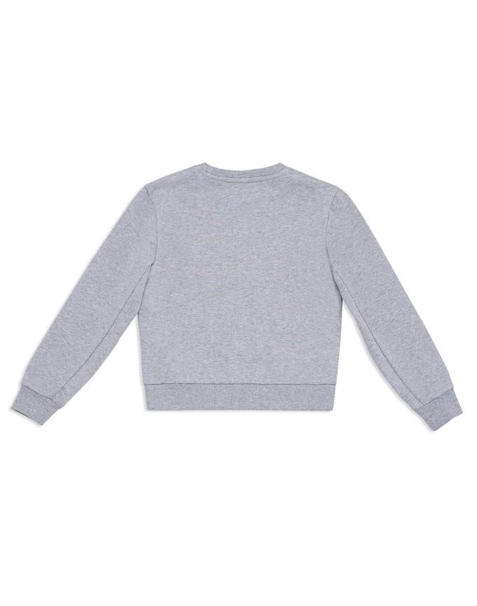 Sweatshirt Crest