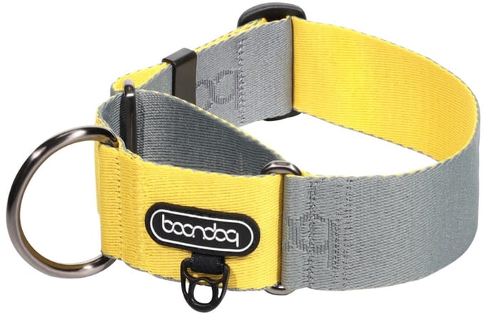 Boondog - Martingale Wide Collar - Gray/Lemon- M