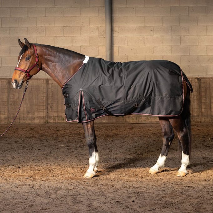 Harry's horse Regendeken Thor 200 WI25