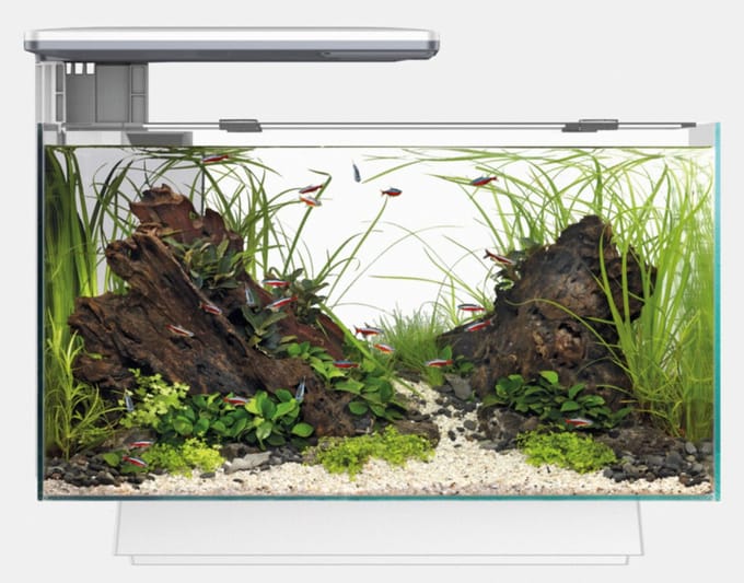 Superfish Quadro 40 Multi Colour - Aquaria - Wit Led Voet