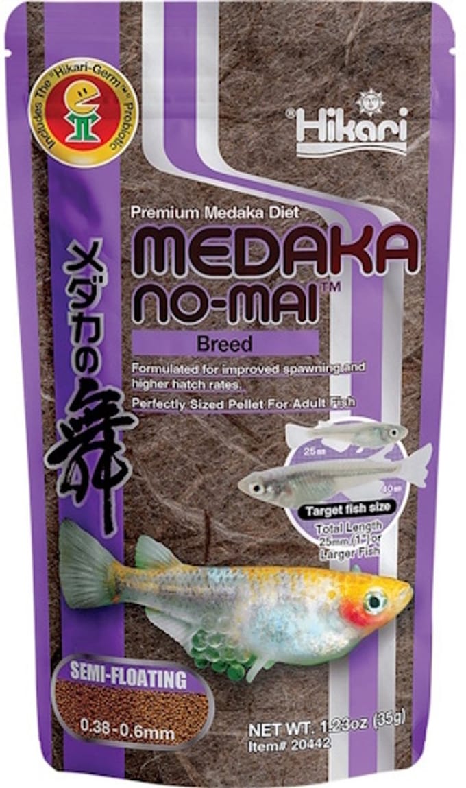Hikari Medaka No Mai Breed 35 Gram