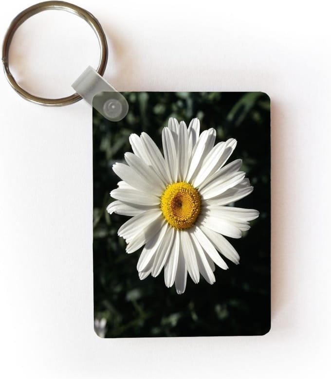 Sleutelhanger - Madelief - Uitdeelcadeautjes - Plastic