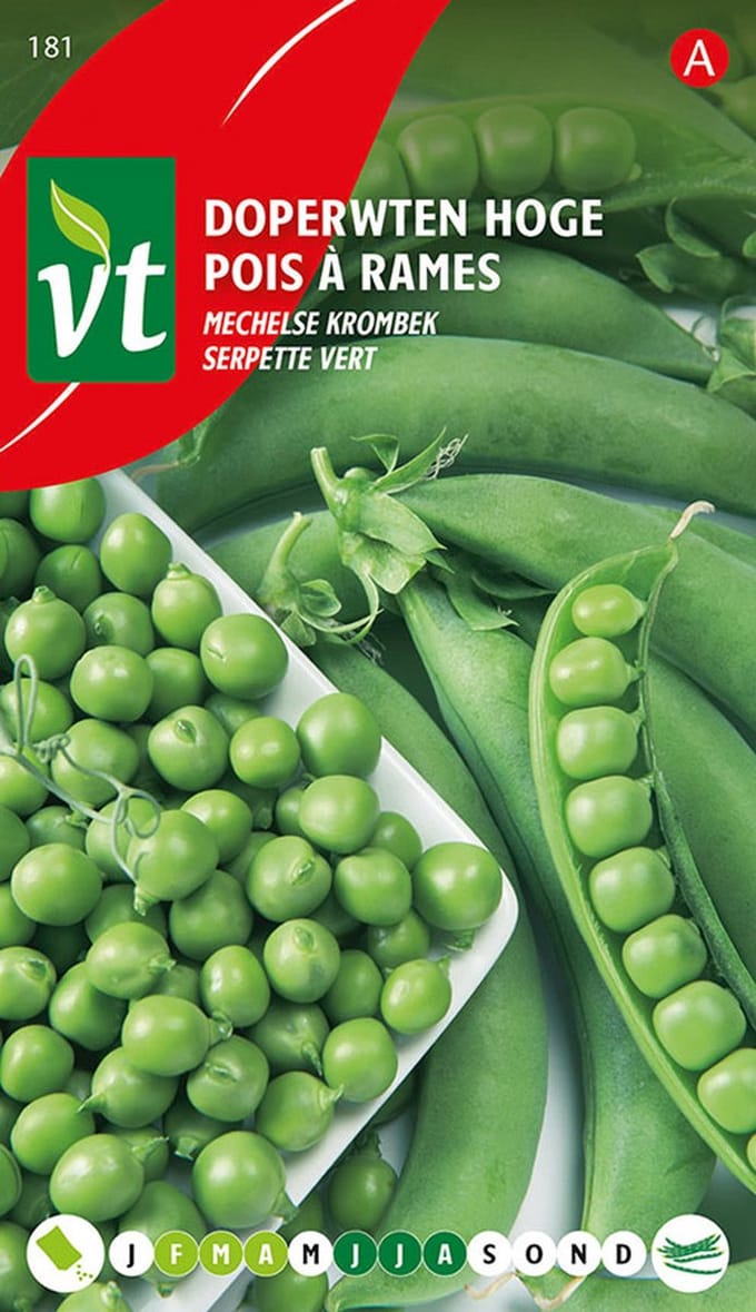 Erwt Doperwt Mechelse Groene Krombek Zaden - Bestand Tegen Kou en Perfect voor Vroege Teelt