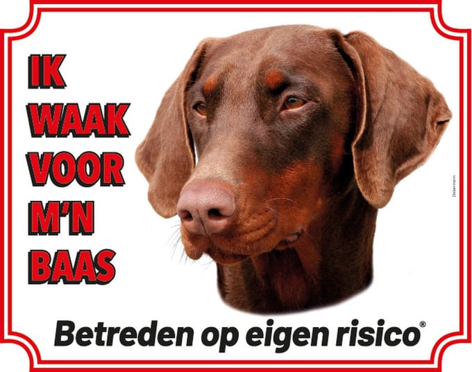 Dobermann Bruin Waakbord