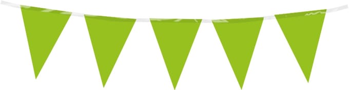 Mini vlaggenlijn | PE | Kleur: Licht groen | Lengte: 3 meter