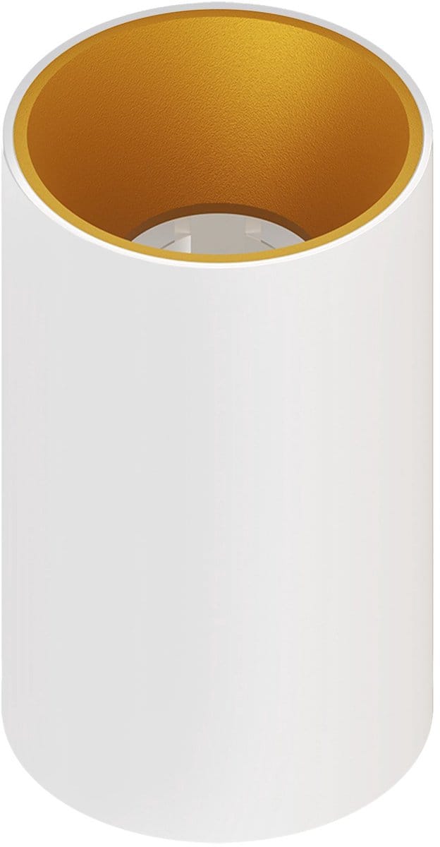 Ledvion – LED Opbouwspot Rond ø80mm – Wit / Goud – Dimbaar – GU10 – IP20