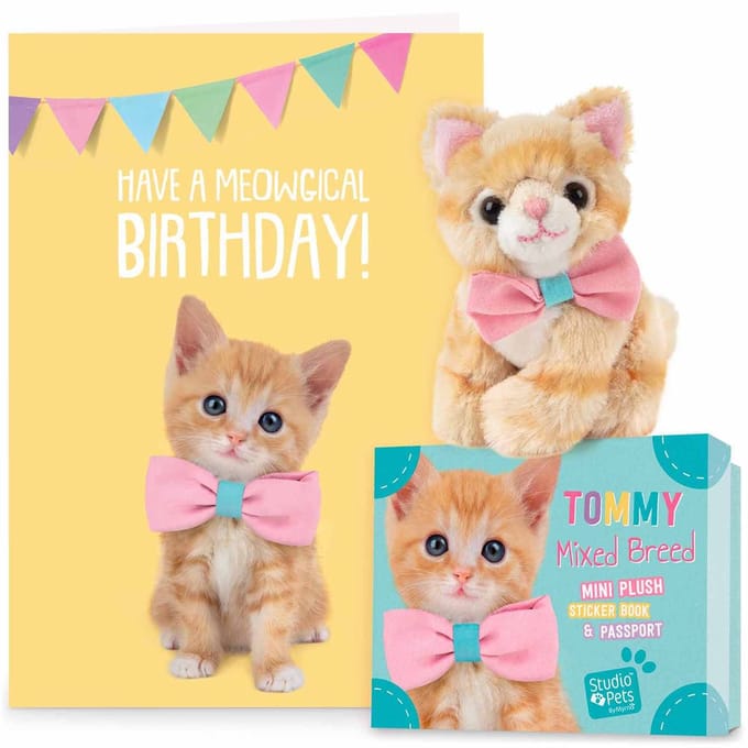 Studio Pets® set mini knuffel rode kat Tommy 8 cm met verjaardagskaart – kat knuffel cadeau voor kinderen