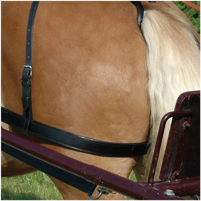 Dijriem voor paarden Chetak