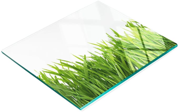 Decoratieve glazen serveerplank met afbeelding van gras voor het serveren van snacks, 60x52 cm