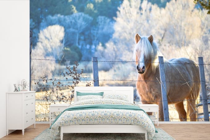 Behang - Fotobehang Paard - Winter - Sneeuw - Breedte 420 cm x hoogte 280 cm