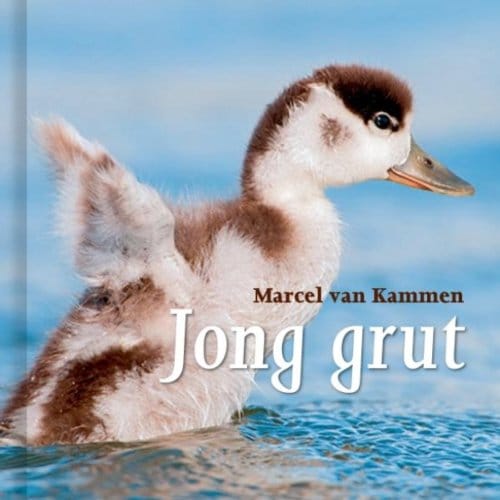 Jong Grut - Marcel van Kammen