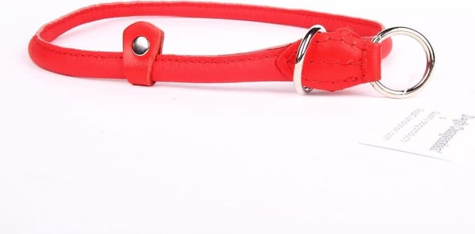 Dog's Companion Leren Sliphalsband - Lengte: 75 cm x 12 mm - Rood