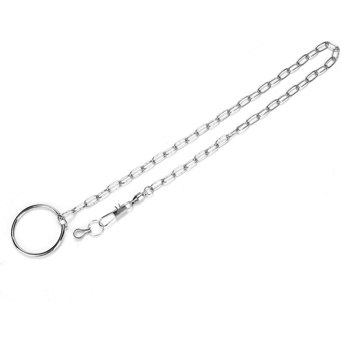 Stainless Steel Pet Birds Parrot Foot Chain Anklet Training Harness   (Psittacula eupatria)