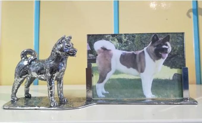 Amerikaanse Akita groot fotolijst Zilvertin
