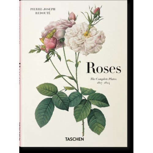 Redoute. Roses - H. Walter Lack