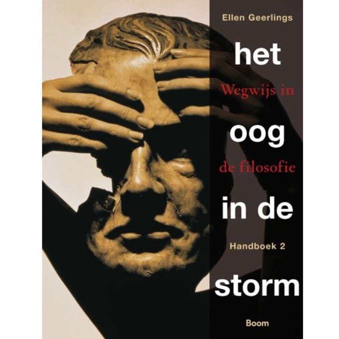 Het Oog In De Storm - Ellen Geerlings