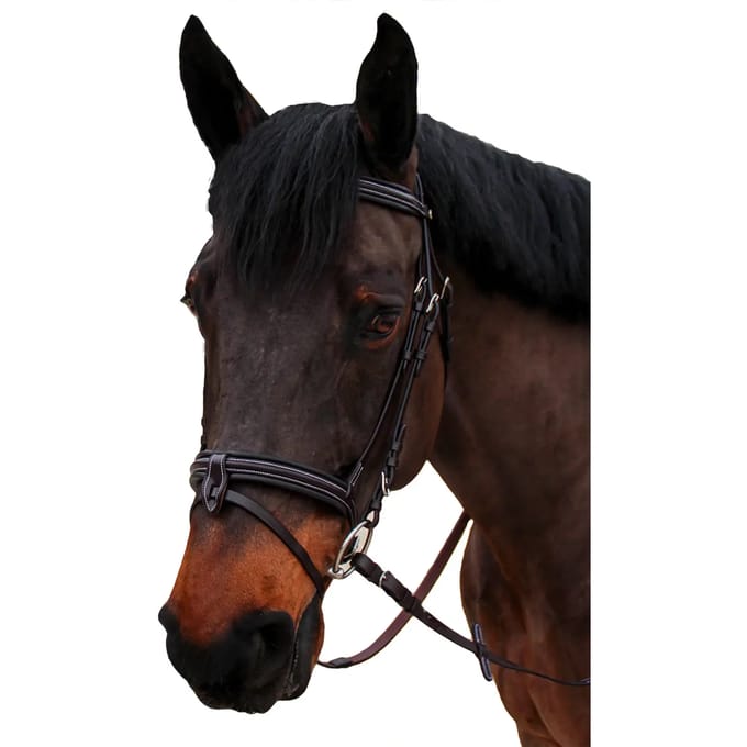Gecombineerd hoofdstel met neusriem Canter Nino