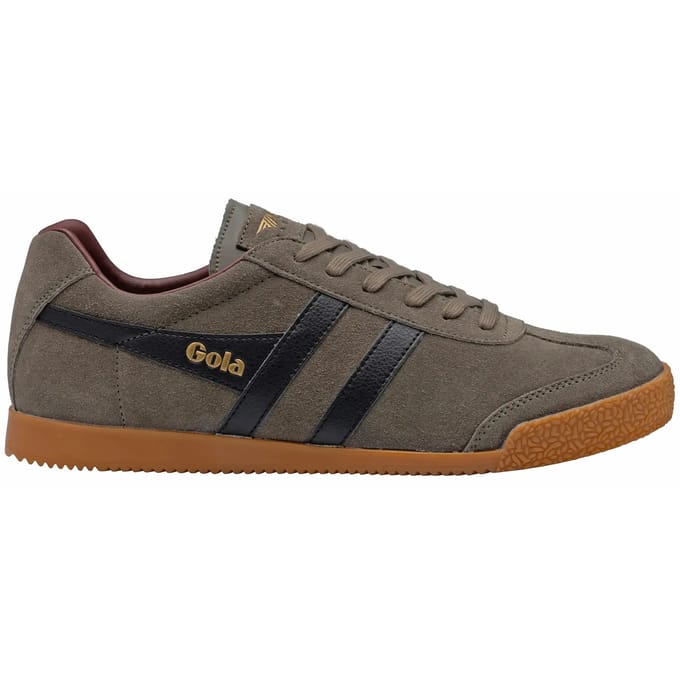 Baskets Gola Harrier