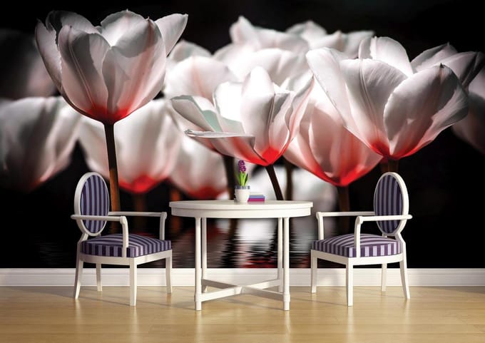 Flowers Poppies Photo Wallcovering
