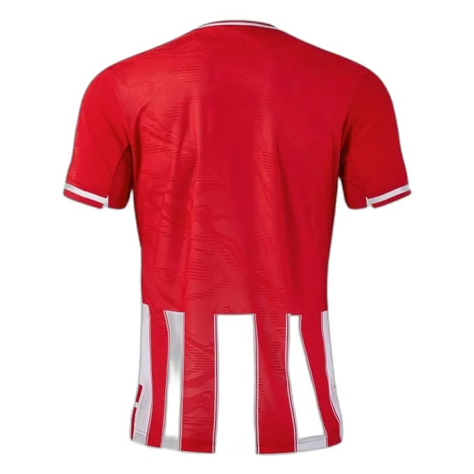Maillot Joma Premier