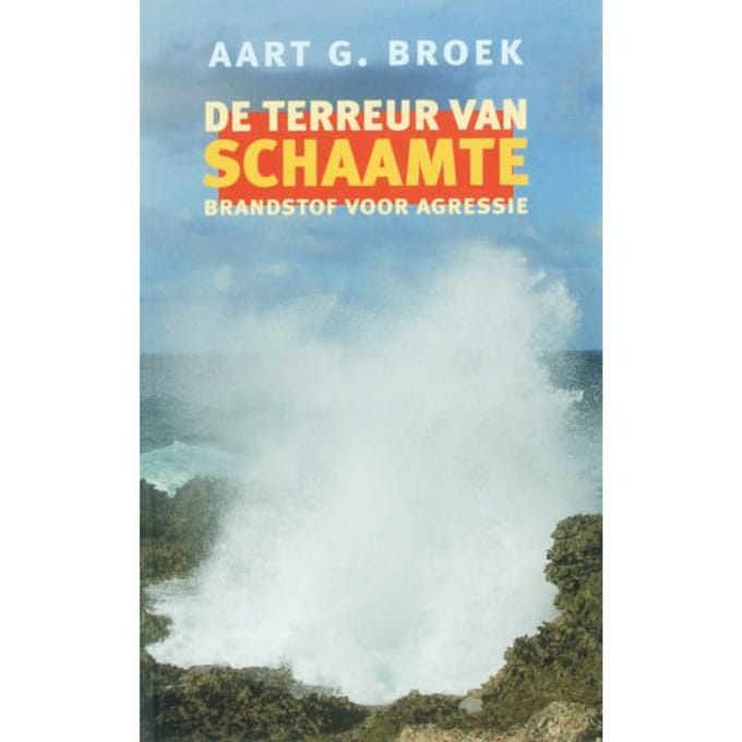 De Terreur Van Schaamte - A.G. Broek